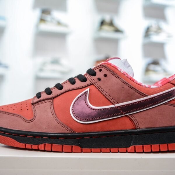 IMG_7548 Nike Dunk SB Low Red Lobster