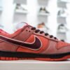 Nike Dunk SB Low Red Lobster