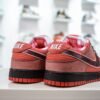 Nike Dunk SB Low Red Lobster
