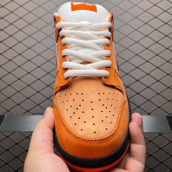 Nike Dunk SB Concepts Orange Lobster