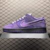 IMG_7575 Nike SB Dunk Purple Lobster