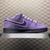 IMG_7577 Nike SB Dunk Purple Lobster