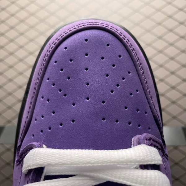 IMG_7581 Nike SB Dunk Purple Lobster